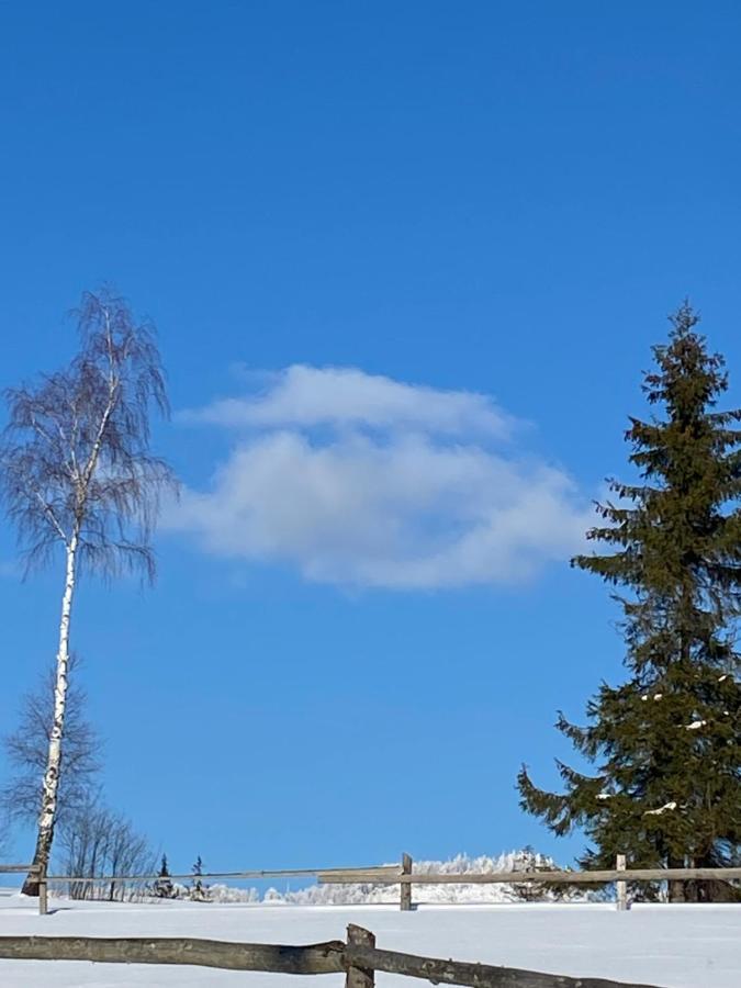 Садиба Anna Slavske Exterior foto